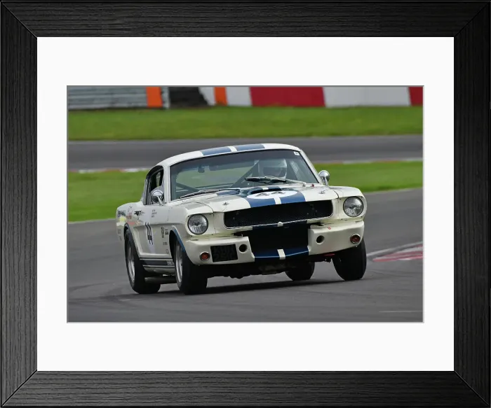 Framed Print : CJ14_4866 Mike Thorne, Sarah Bennett-Baggs, Ford Shelby Mustang GT350.jpg Framed Print : CJ14_4866 Mike Thorne, Sarah Bennett-Baggs, Ford Shelby Mustang GT350.jpg