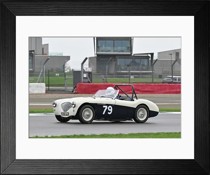 Framed Print : CZ1_0247 Matthew Collings, Austin Healey 100M.jpg