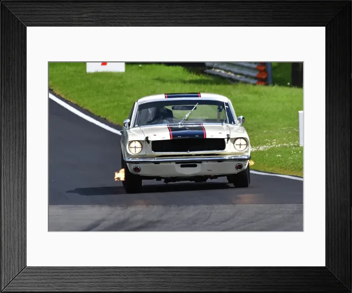 Framed Print : CJ13_9610 Michael Whitaker Jnr, Ford Mustang.jpg Framed Print : CJ13_9610 Michael Whitaker Jnr, Ford Mustang.jpg