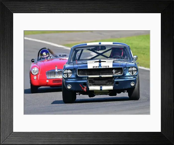 Framed Print : CZ1_2952 Paul Kennelly, Ford Shelby Mustang GT350R.jpg Framed Print : CZ1_2952 Paul Kennelly, Ford Shelby Mustang GT350R.jpg