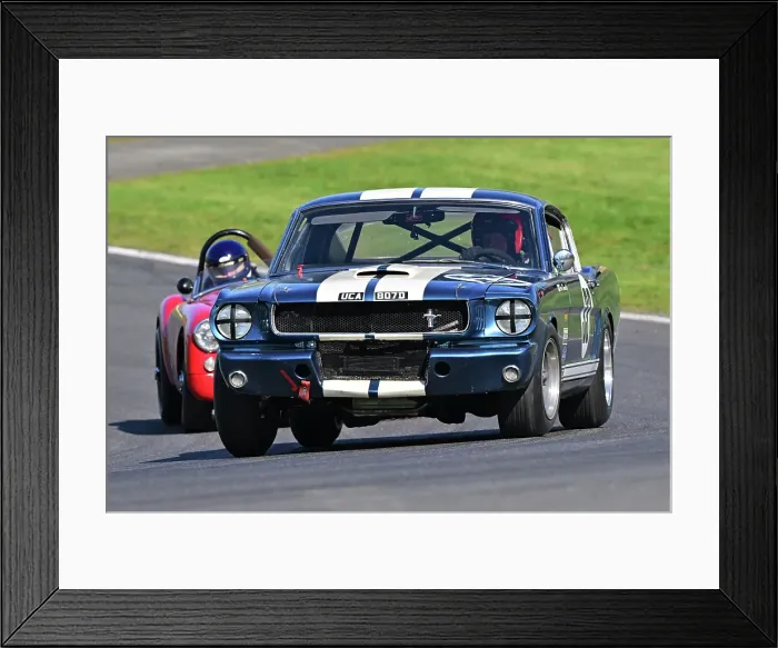 Framed Print : CZ1_2978 Paul Kennelly, Ford Shelby Mustang GT350R.jpg Framed Print : CZ1_2978 Paul Kennelly, Ford Shelby Mustang GT350R.jpg
