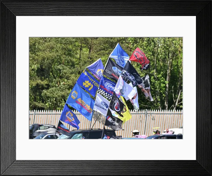 Framed Print : CZ2_1920 Fan flags.jpg