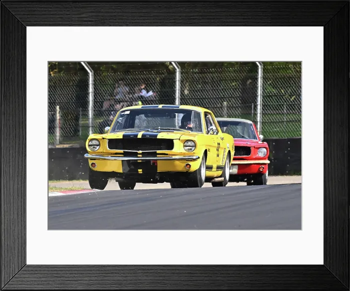 Framed Print : CZ2_8947 Alex Taylor, Ford Mustang.jpg Framed Print : CZ2_8947 Alex Taylor, Ford Mustang.jpg