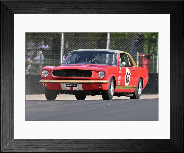 Framed Print : CZ2_8948 Matthew Johnson, Robert Ross, Ford Mustang.jpg Framed Print : CZ2_8948 Matthew Johnson, Robert Ross, Ford Mustang.jpg