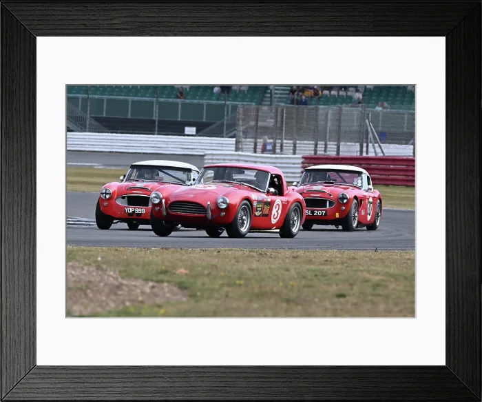 Framed Print : CZ3_8431 John Spiers, Nigel Greensall, Shelby Cobra.jpg Framed Print : CZ3_8431 John Spiers, Nigel Greensall, Shelby Cobra.jpg