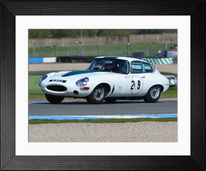 Framed Print : DHF 2013 Framed Print : DHF 2013