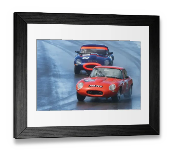 Framed Print : DHF 2013