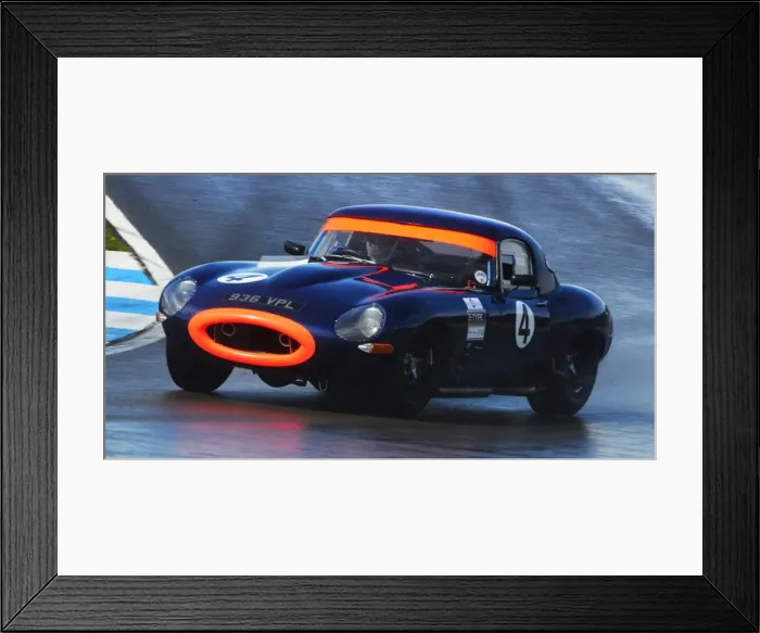 Framed Print : DHF 2013 Framed Print : DHF 2013