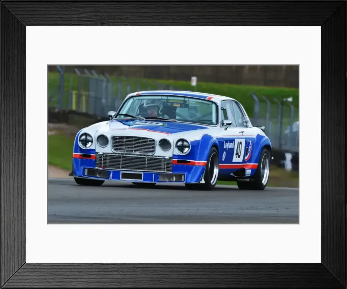 Framed Print : DHF 2013 Framed Print : DHF 2013