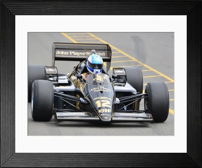 Framed Print : DHF 2013
