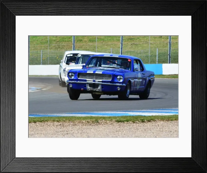 Framed Print : DHF 2013 Framed Print : DHF 2013