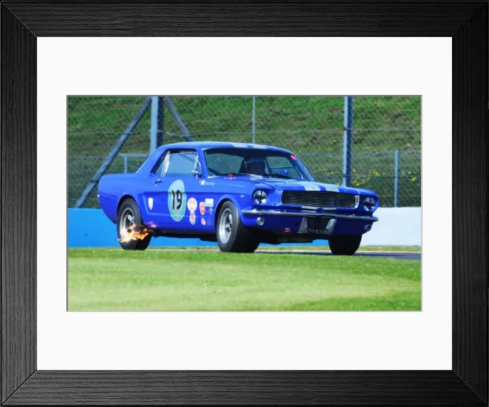 Framed Print : DHF 2013 Framed Print : DHF 2013