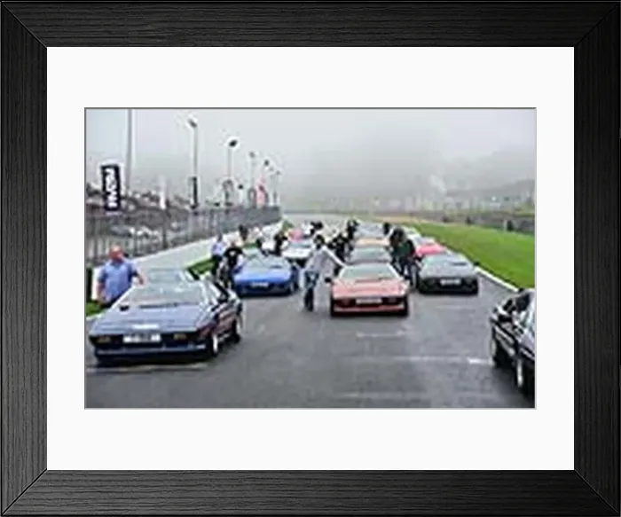 : Lotus Festival 2013 Brands Hatch : Lotus Festival 2013 Brands Hatch