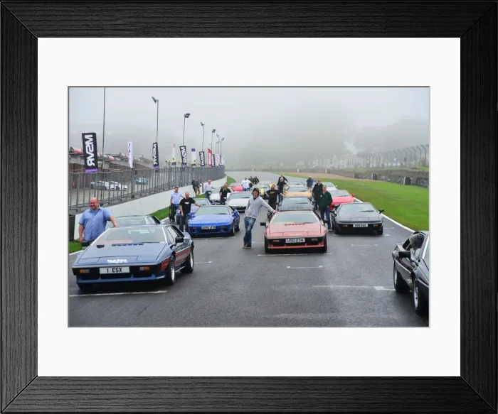 Framed Print : Lotus Festival 2013