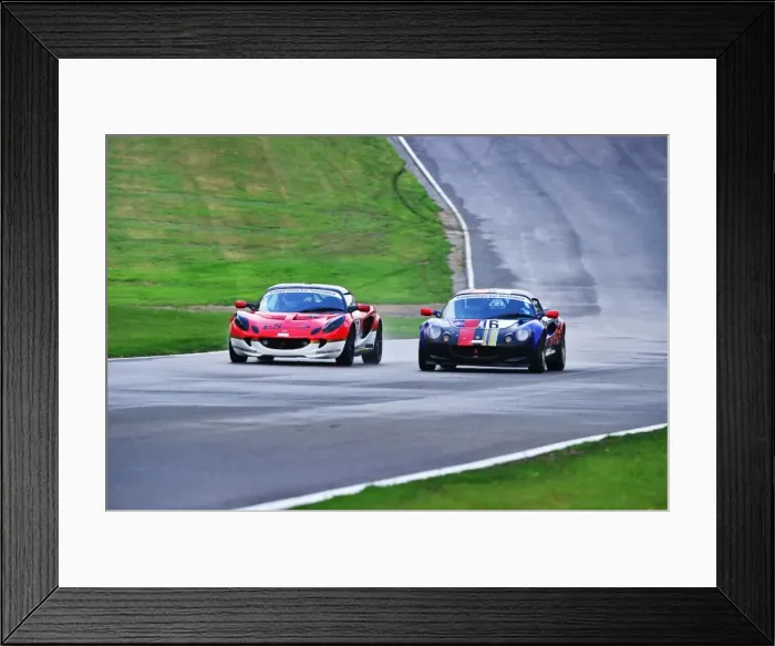 Framed Print : Lotus Festival 2013 Framed Print : Lotus Festival 2013