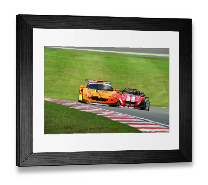 Framed Print : Lotus Festival 2013 Framed Print : Lotus Festival 2013