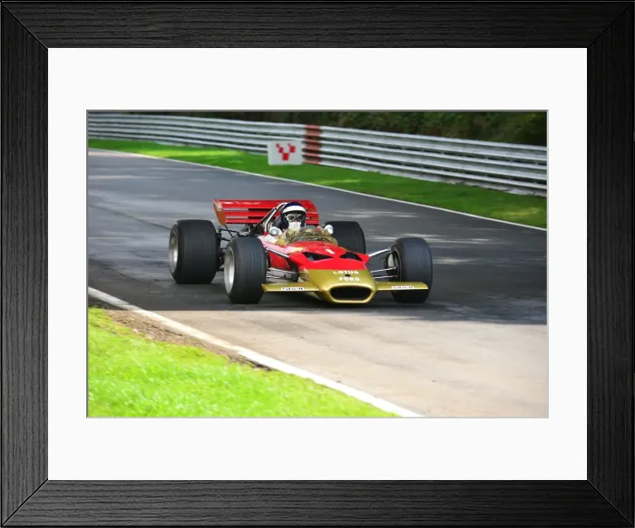 Framed Print : Lotus Festival 2013 Framed Print : Lotus Festival 2013