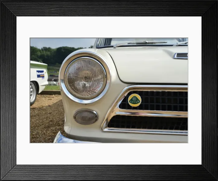 Framed Print : Lotus Festival 2013 Framed Print : Lotus Festival 2013