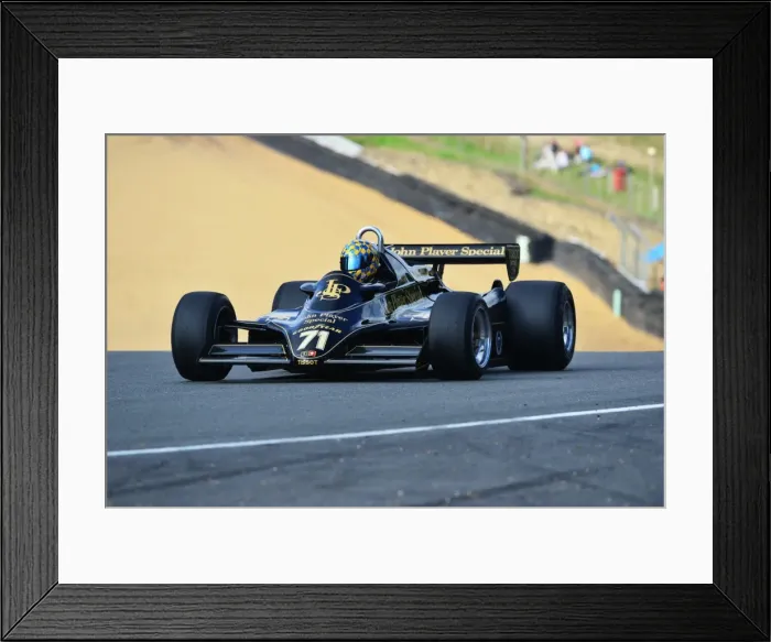 Framed Print : Lotus Festival 2013 Framed Print : Lotus Festival 2013
