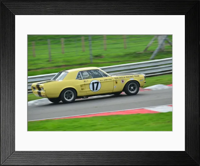 Framed Print : Adam Simmonds Ford Mustang Framed Print : Adam Simmonds Ford Mustang