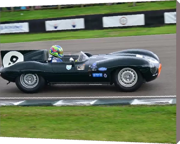 Gavin Pickering, Jaguar D-Type