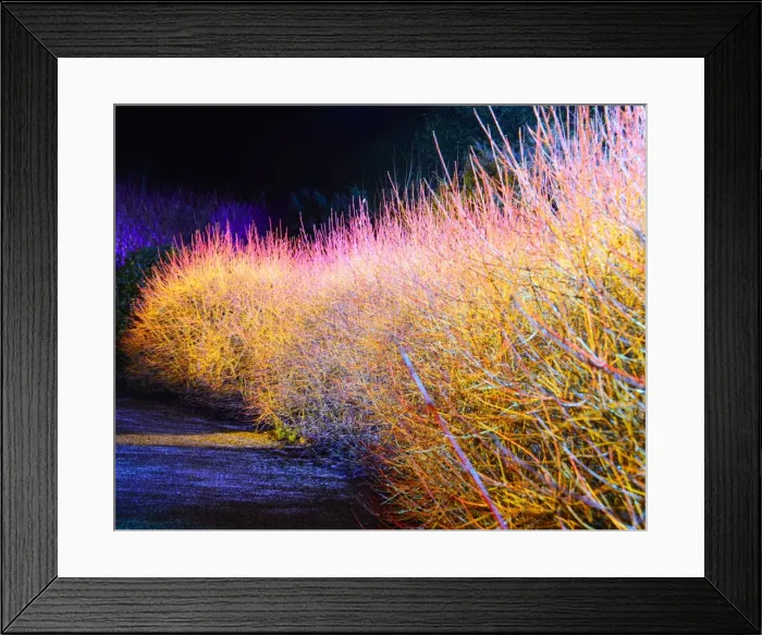 Framed Print : CJM 0107 Winter Lights Framed Print : CJM 0107 Winter Lights