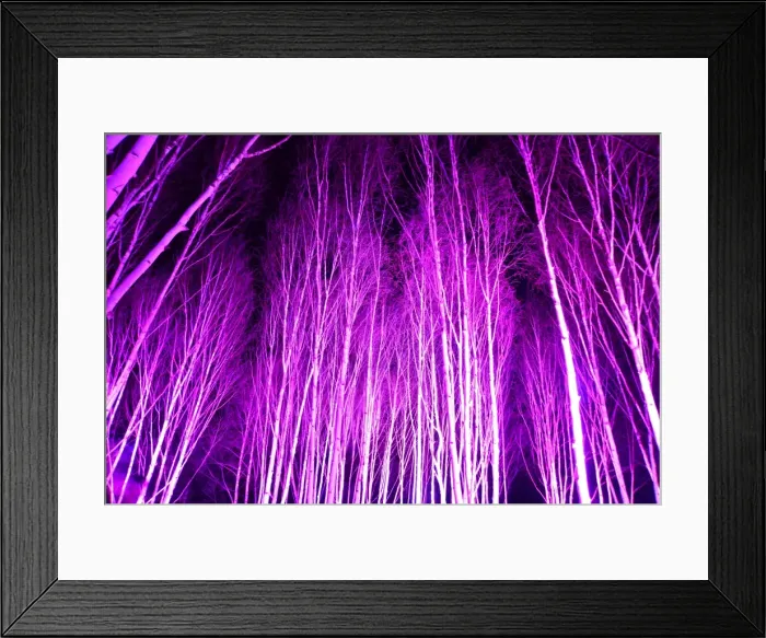Framed Print : CJM 0114 Winter Lights Framed Print : CJM 0114 Winter Lights