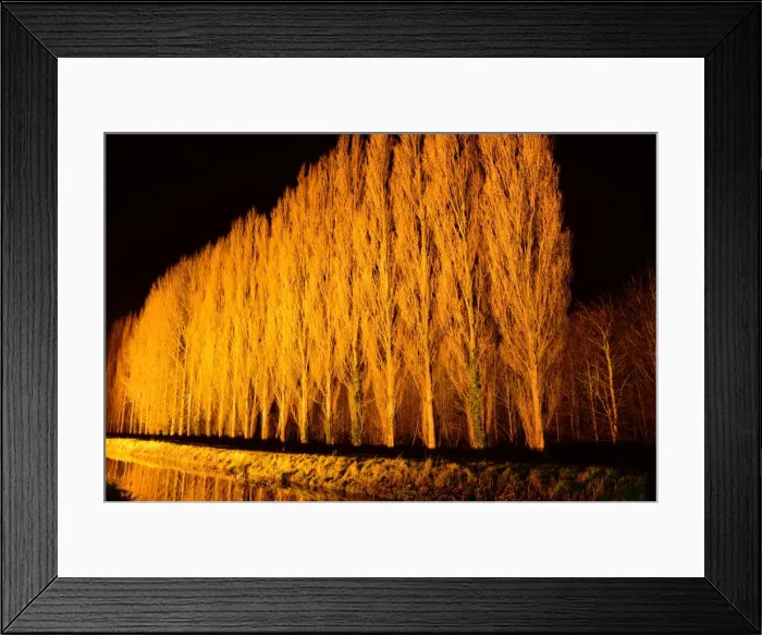Framed Print : CJM 0132 Winter Lights Framed Print : CJM 0132 Winter Lights