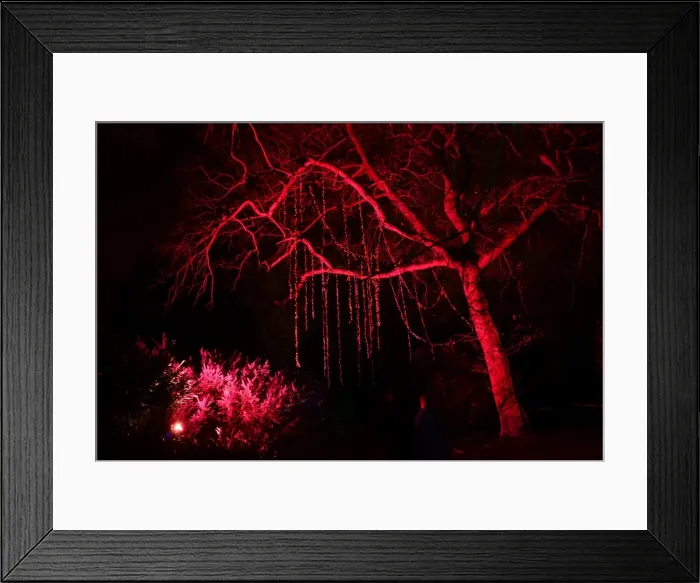 Framed Print : CJM 0148 Winter Lights Framed Print : CJM 0148 Winter Lights
