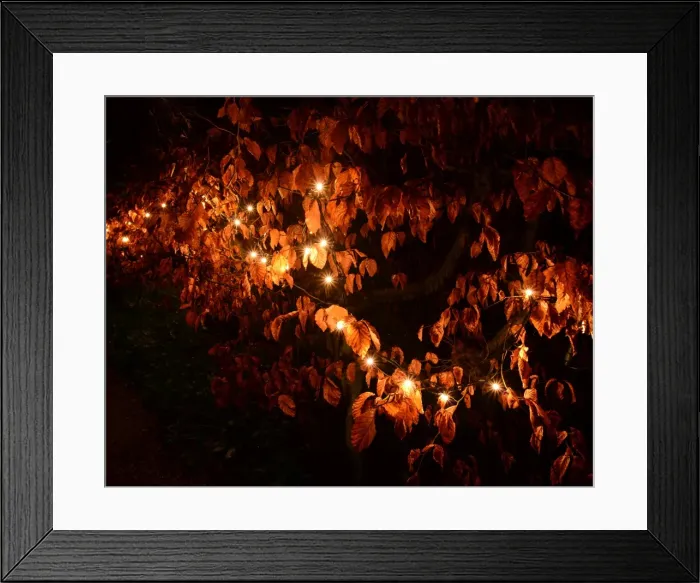 Framed Print : CJM 0150 Winter Lights Framed Print : CJM 0150 Winter Lights