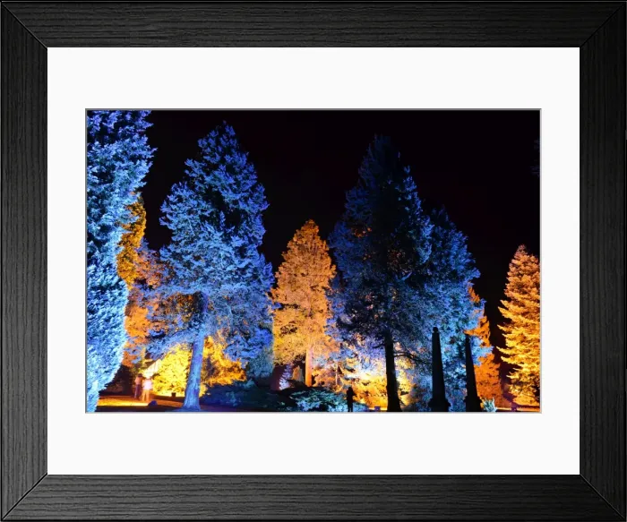 Framed Print : CJM 0167 Winter Lights Framed Print : CJM 0167 Winter Lights