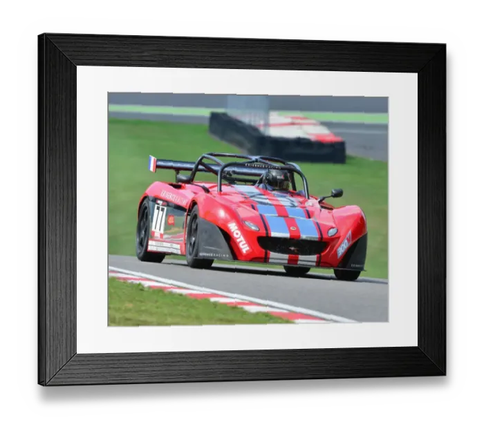 Framed Print : CJ4 5548 Philippe Loup, Lotus 2-Eleven Framed Print : CJ4 5548 Philippe Loup, Lotus 2-Eleven