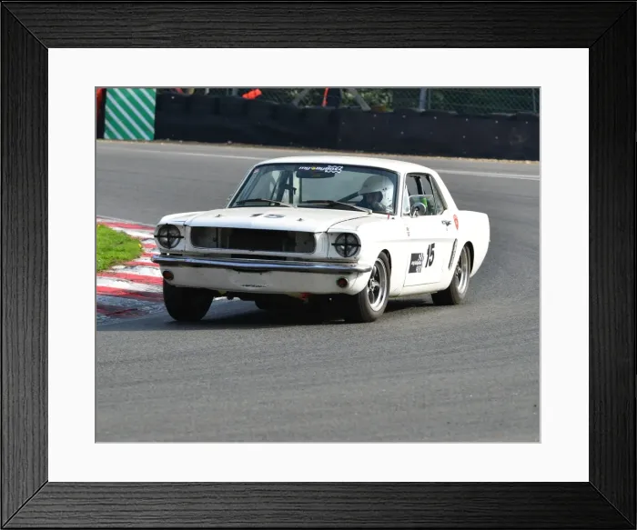 Framed Print : CJ4 8879 David Lloyd, Ford Mustang Framed Print : CJ4 8879 David Lloyd, Ford Mustang