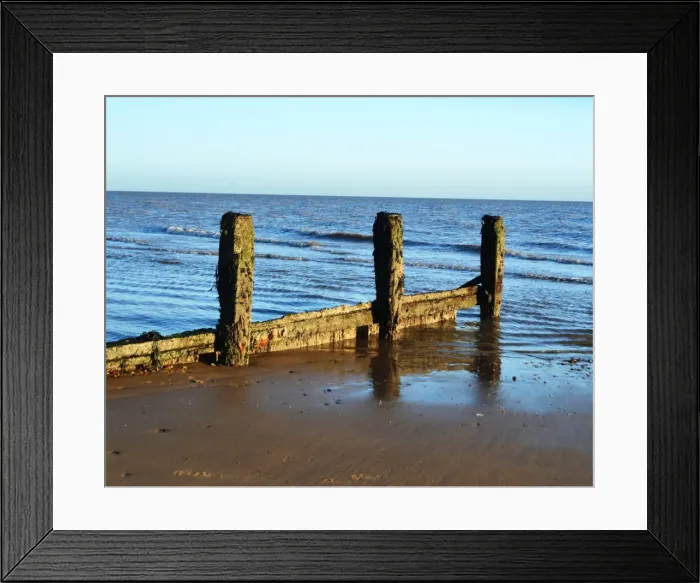Framed Print : CJ5 2378 Evening sun on the groynes Framed Print : CJ5 2378 Evening sun on the groynes