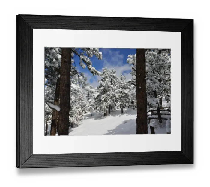 Framed Print : CJ3 3114 Winter snowscape Framed Print : CJ3 3114 Winter snowscape