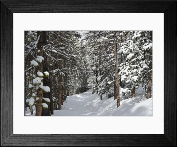 Framed Print : CJ3 3187 Winter walk, Blue River Framed Print : CJ3 3187 Winter walk, Blue River