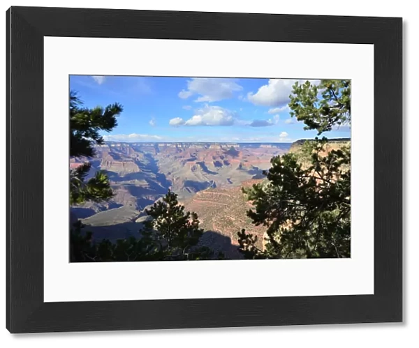 CJ3 3806 Grand Canyon vista