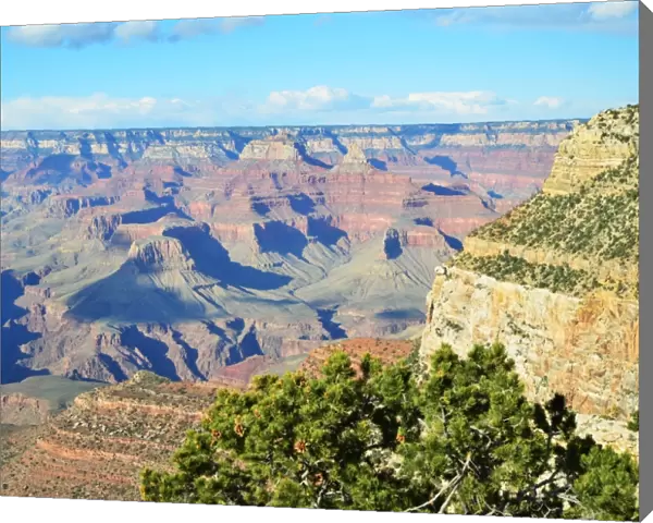 CJ3 3823 Grand Canyon vista