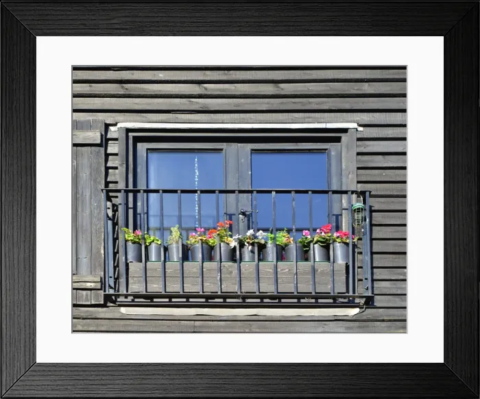 Framed Print : CJ4 8568 Gerainiums in window box Framed Print : CJ4 8568 Gerainiums in window box