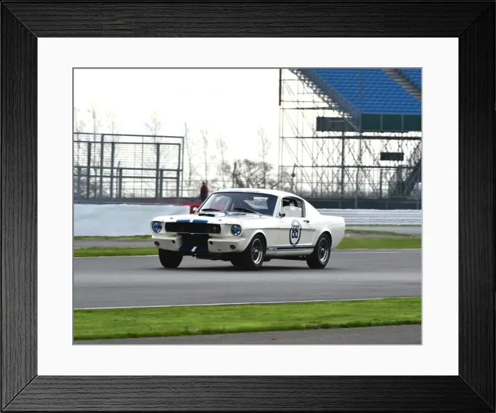 Framed Print : CM1 3633 Jeremy Cooke, Michael Dowd, Ford Mustang, Shelby Mustang GT350 Framed Print : CM1 3633 Jeremy Cooke, Michael Dowd, Ford Mustang, Shelby Mustang GT350
