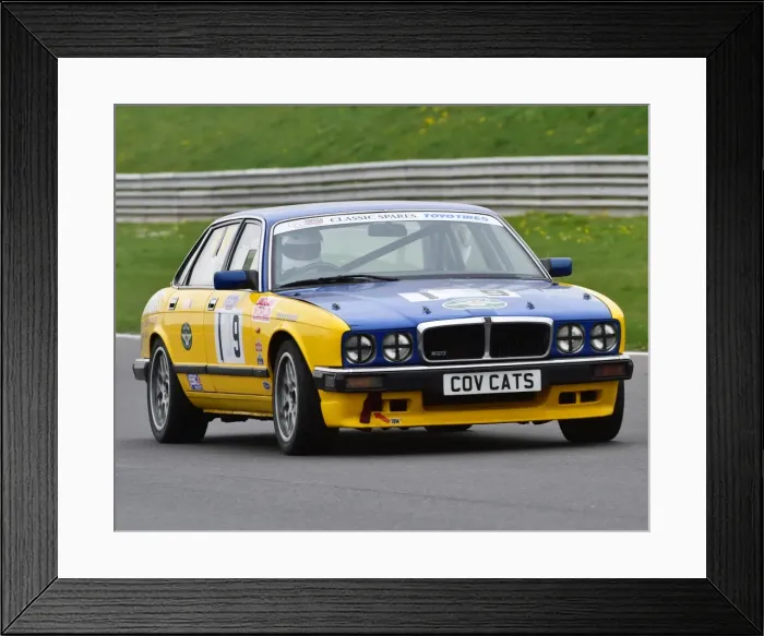 Framed Print : CM1 6485 Chris Palmer, Jaguar Framed Print : CM1 6485 Chris Palmer, Jaguar