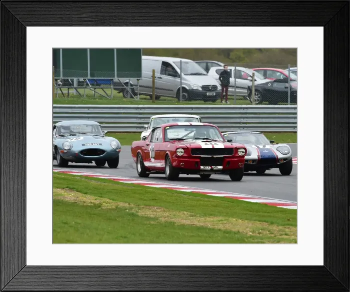 Framed Print : CM1 6860 Chas Mallard, Shelby Mustang GT350, OPF 4 E Framed Print : CM1 6860 Chas Mallard, Shelby Mustang GT350, OPF 4 E