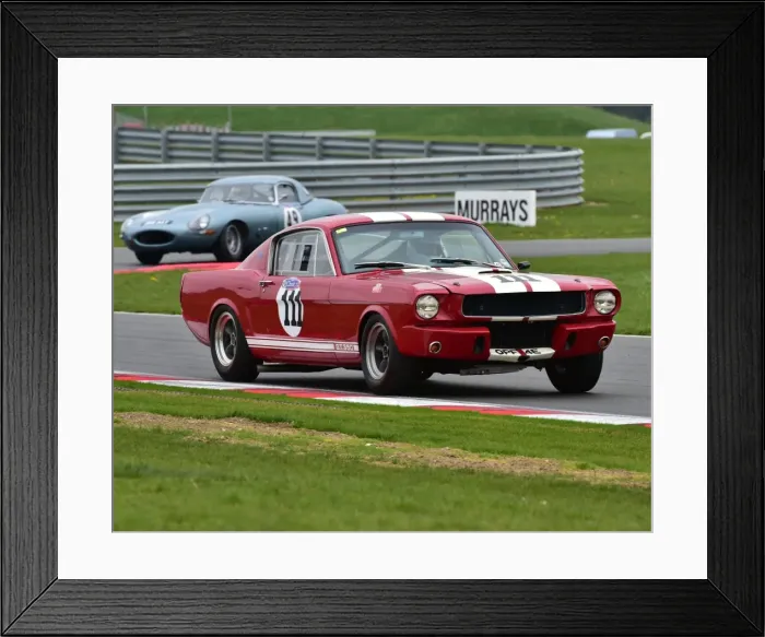 Framed Print : CM1 6900 Chas Mallard, Shelby Mustang GT350, OPF 4 E Framed Print : CM1 6900 Chas Mallard, Shelby Mustang GT350, OPF 4 E