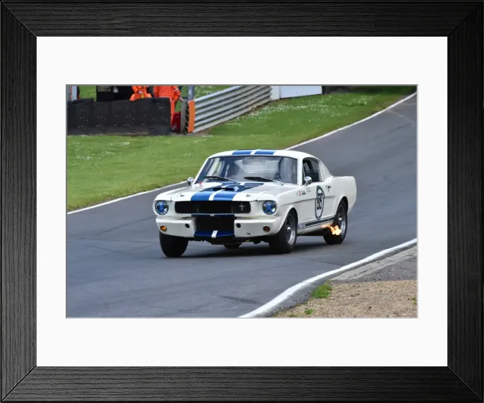 Framed Print : CM2 6783 Jeremy Cooke, Mike Dowd, Shelby Mustang GT350, Gentlemen Drivers, Pre-66 GT cars Framed Print : CM2 6783 Jeremy Cooke, Mike Dowd, Shelby Mustang GT350, Gentlemen Drivers, Pre-66 GT cars