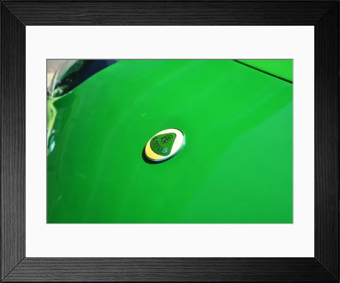 Framed Print : CJ5 4594 Lotus Framed Print : CJ5 4594 Lotus