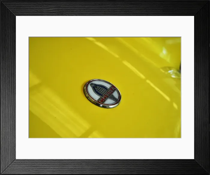 Framed Print : CM2 3753 AC Cobra