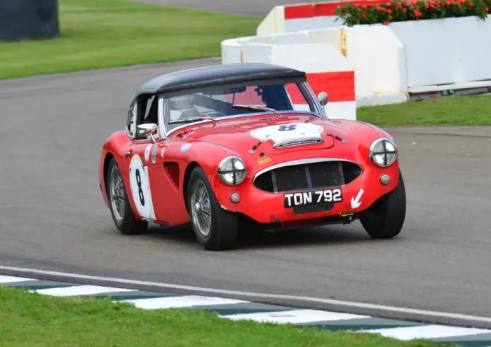 Rights Managed : Austin Healey, David Smithies, Goodwood Revival 2013 Rights Managed : Austin Healey, David Smithies, Goodwood Revival 2013