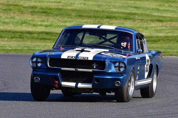 CJ10 4142 Paul Kennelly, Ford Mustang Shelby GT350