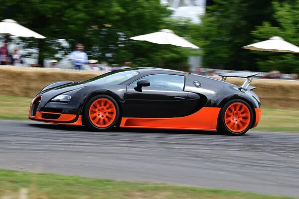 CJ11 4019 Bugatti Veyron 16-4 Super Sport