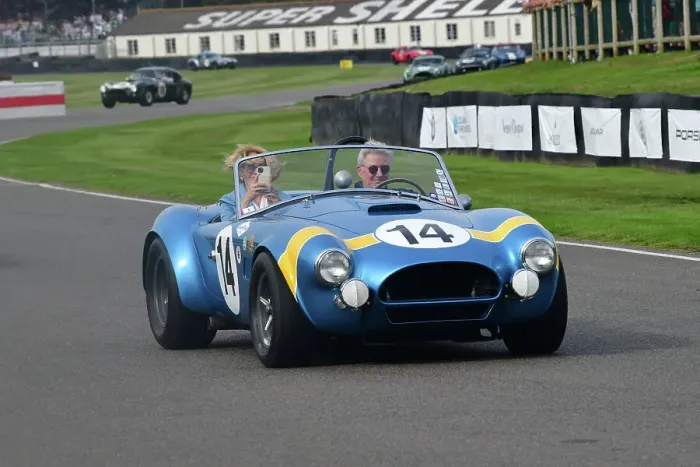 Rights Managed : CJ13 1293 AC Cobra Rights Managed : CJ13 1293 AC Cobra